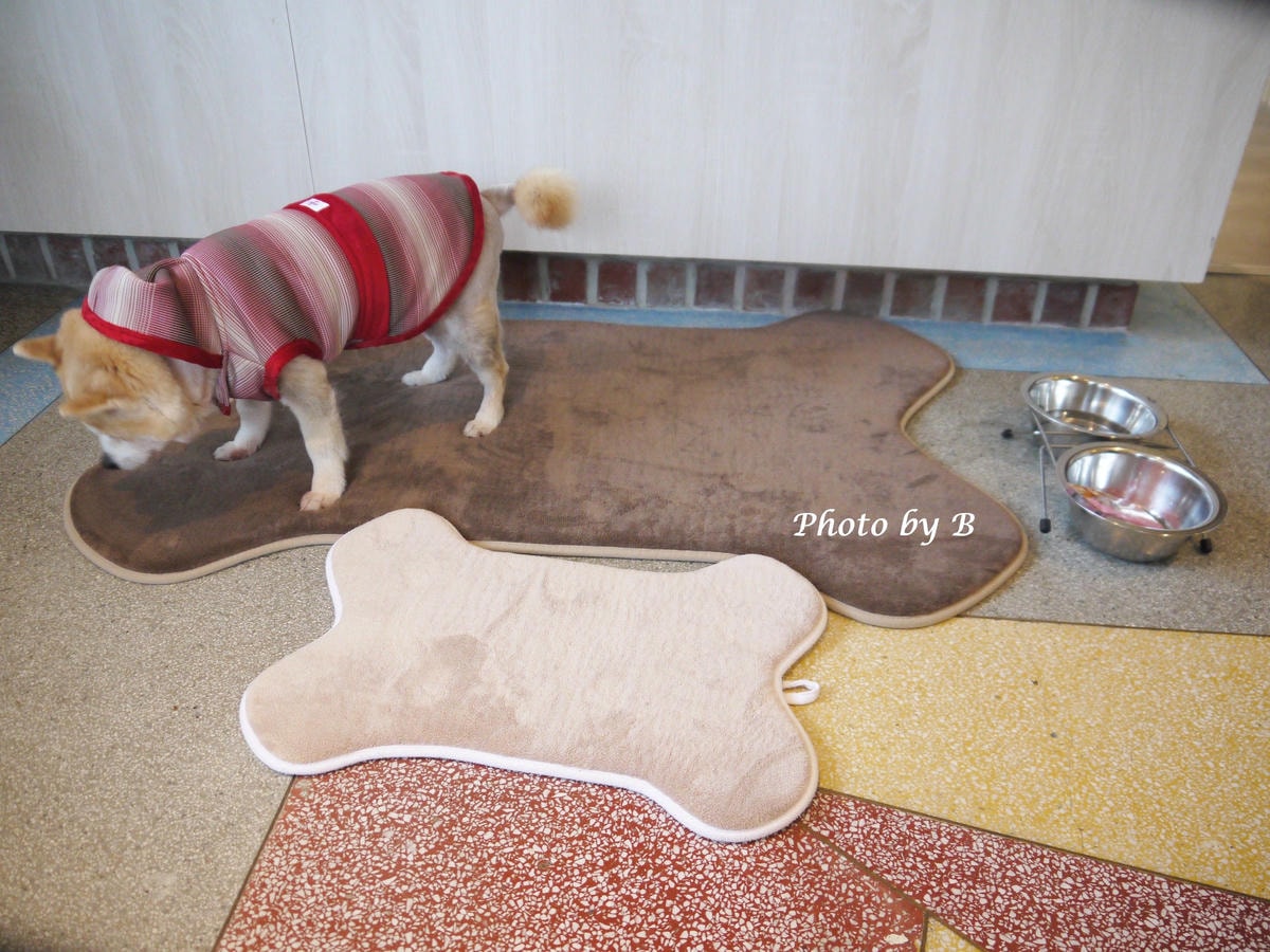 20251022-emaeh 20251022-emaeh