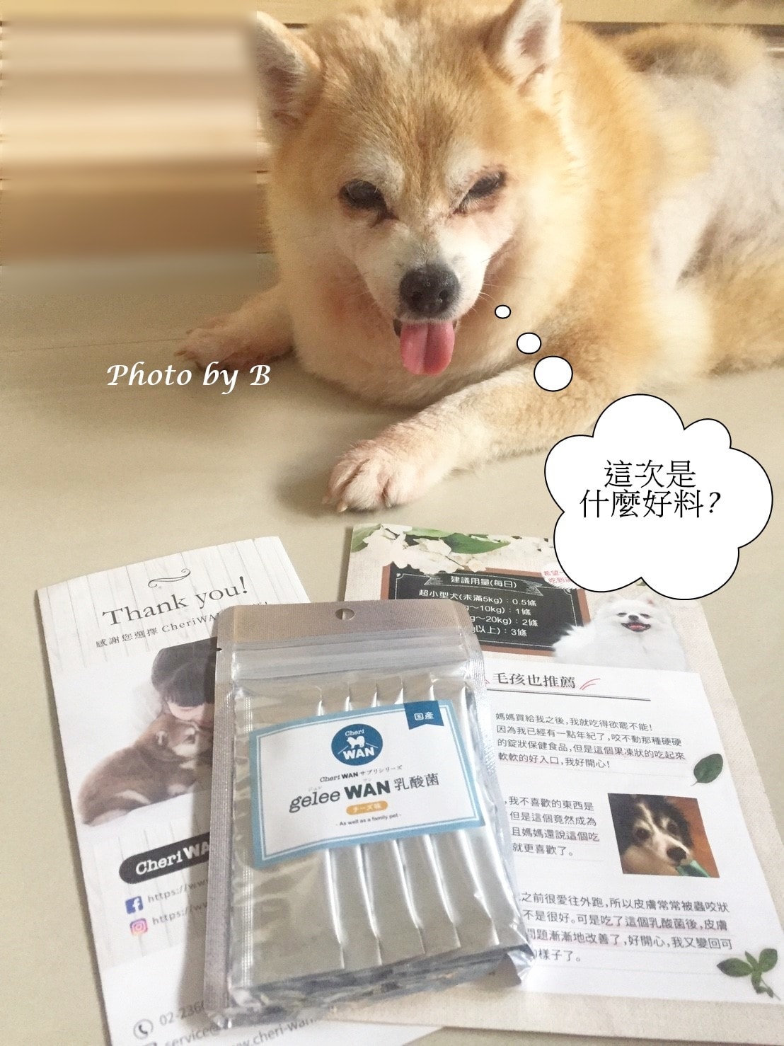 20251022-bk8c5 20251022-bk8c5