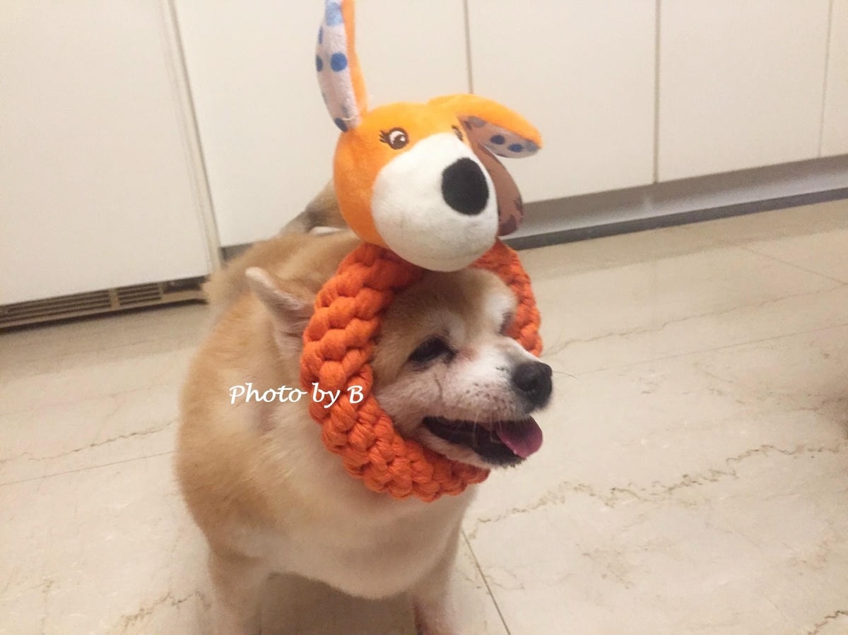 20251022-eeg3h 20251022-eeg3h