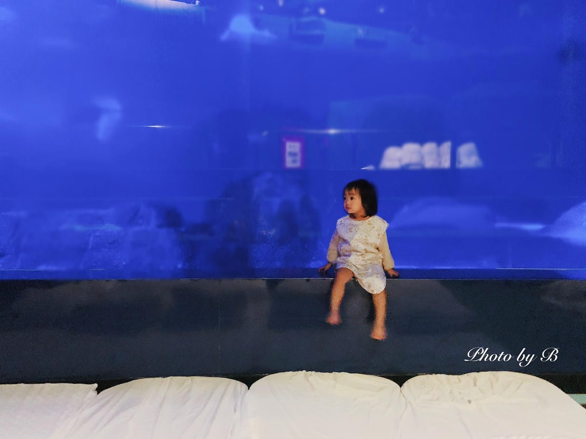20251022-mf3mc 20251022-mf3mc