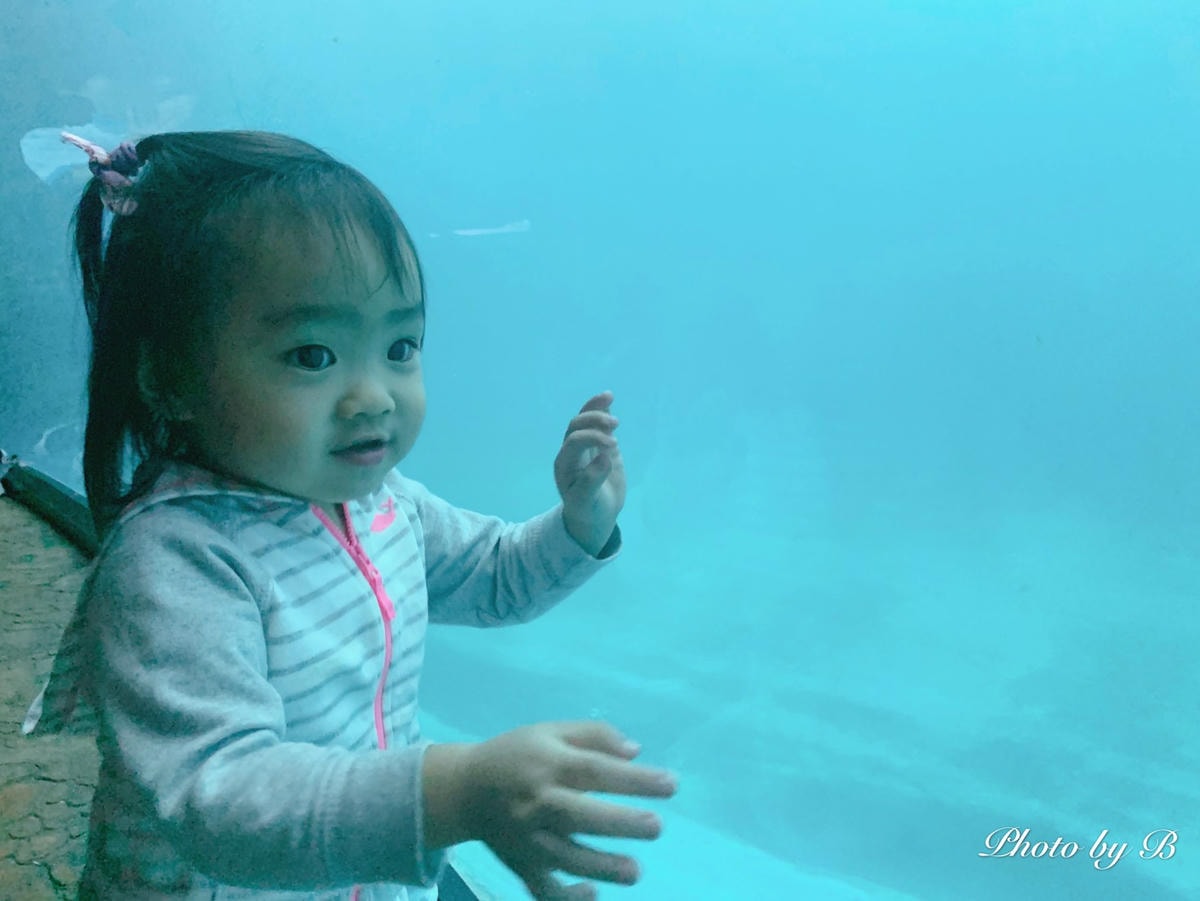 20251022-t8oya 20251022-t8oya